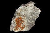 Red-Orange Bipyramidal Wulfenite Crystals - Melissa Mine, Arizona #118989-2